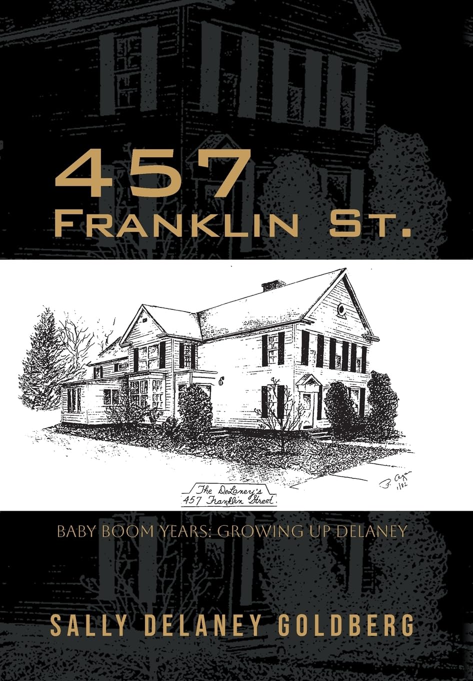 457 Franklin St.: Baby Boom Years: Growing Up DeLaney      Hardcover – March 24, 2026