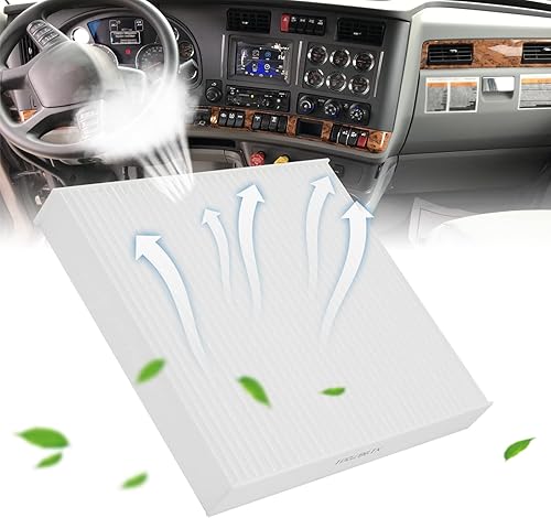 Miniatura 3 de Filtro de aire de repuesto X19987001 AF55839 P640110 CAF1815P 48XH41 PA30093 CY08221P C25870 Filtro de aire de cabina (paquete de 2)