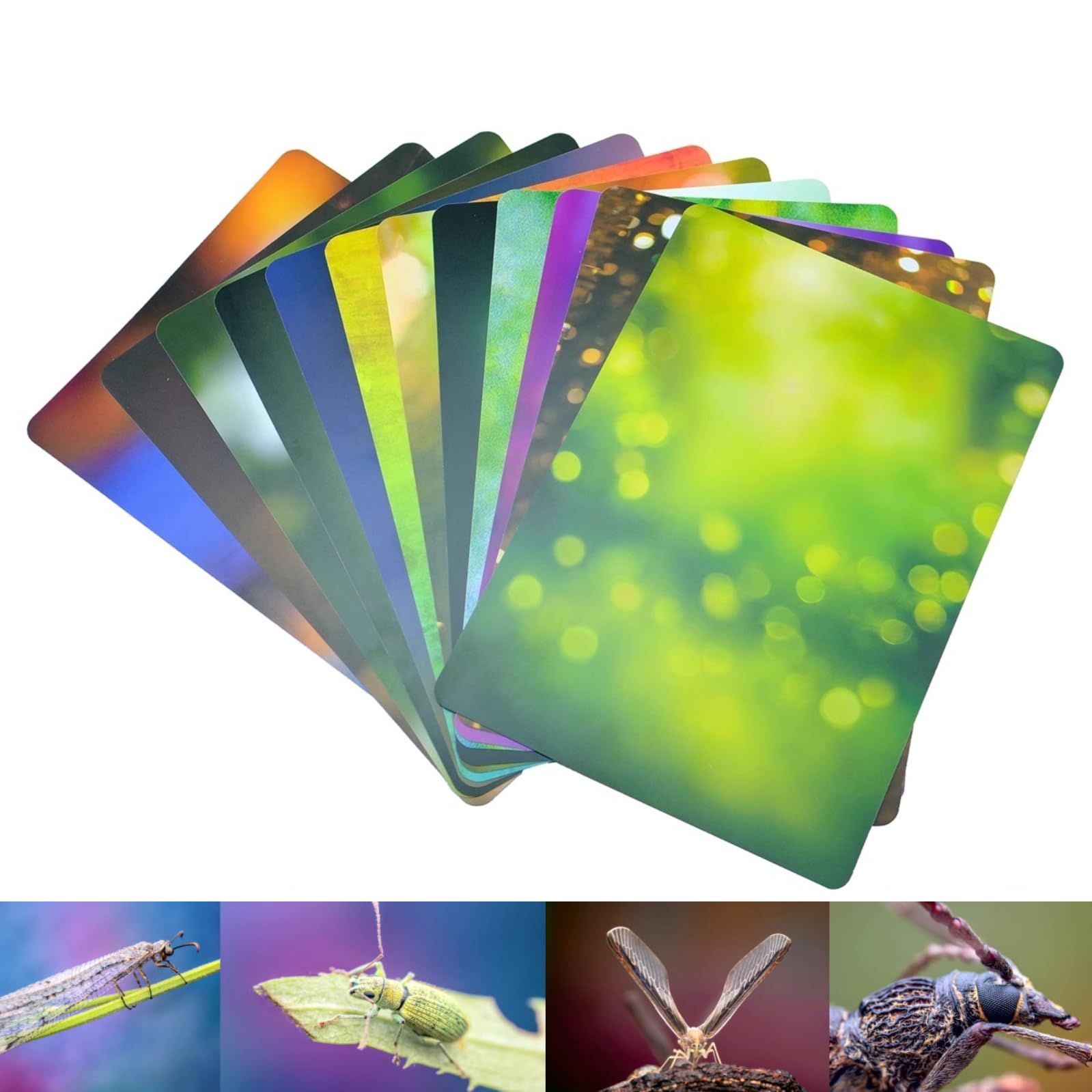 Guage - Set di carte di sfondo macro 12 pezzi 24 colori (30 x 21 cm) materiale assorbente sfocatura ecologica A4