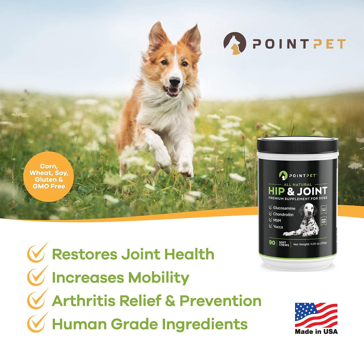 Buy POINTPET Glucosamine for Dogs Hip and Joint Supplement Dog