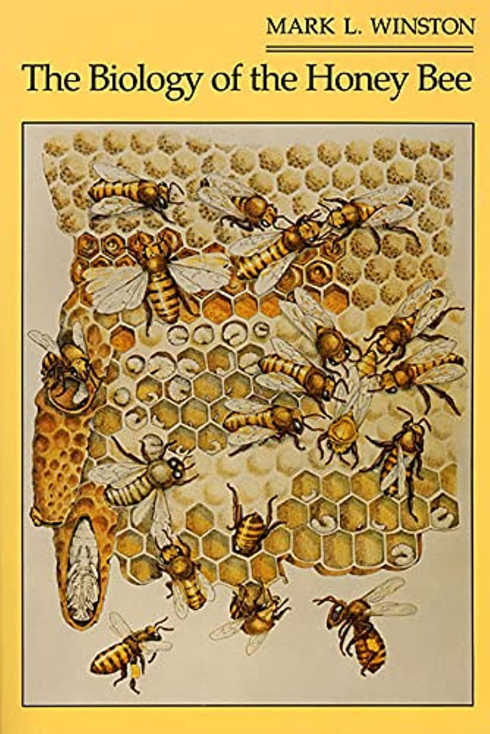 The Biology of the Honey Bee      Paperback – Illustrated, April 1, 1991