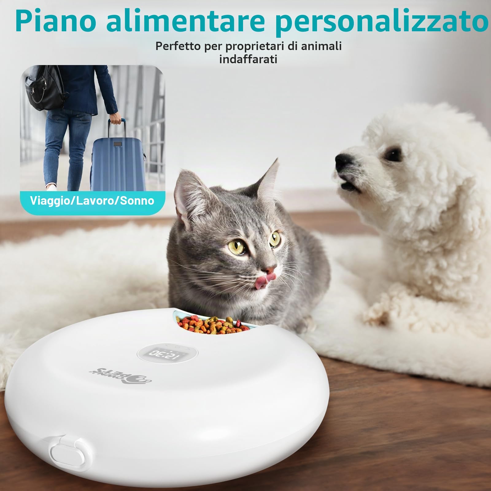 Ownpets Mangiatoia automatica per cani e gatti, due pacchetti di ghiaccio per mantenere il cibo fresco, timer programmabile, 6 pasti, alimentazione USB, per cibo secco e umido, bianco