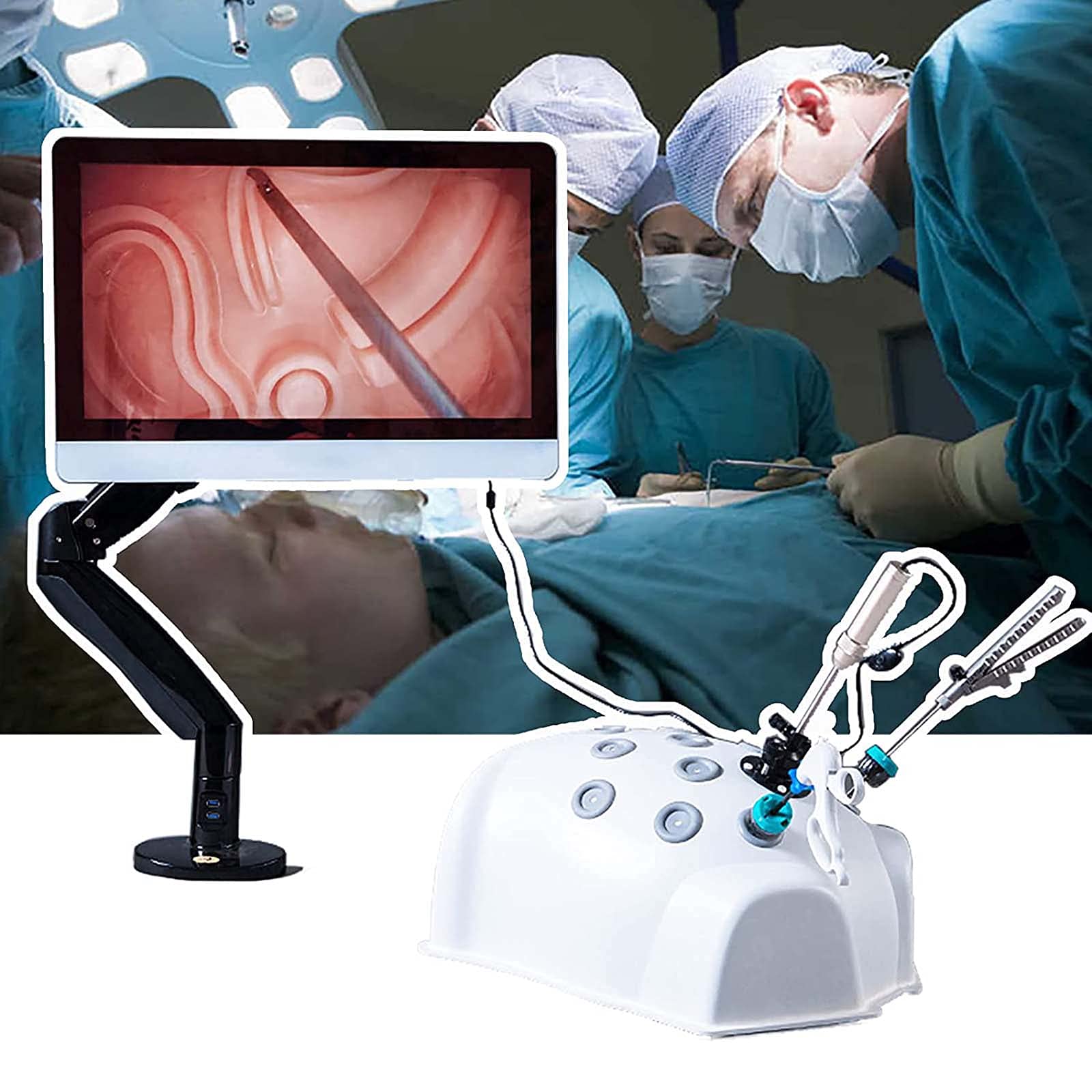 Buy WYLX Laparoscopic Trainer Simulator Training Box with 4 Training ...