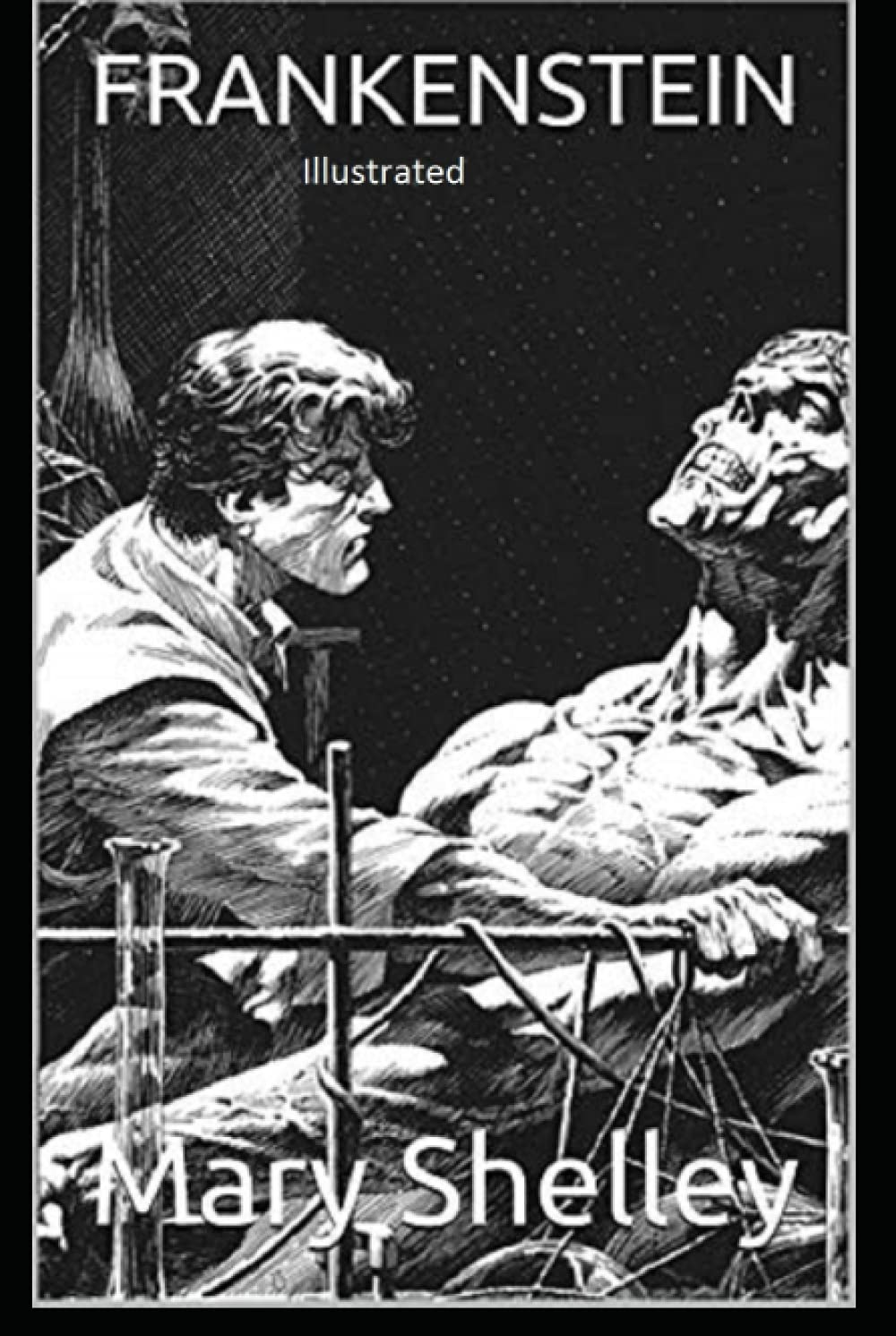 Frankenstein Illustrated