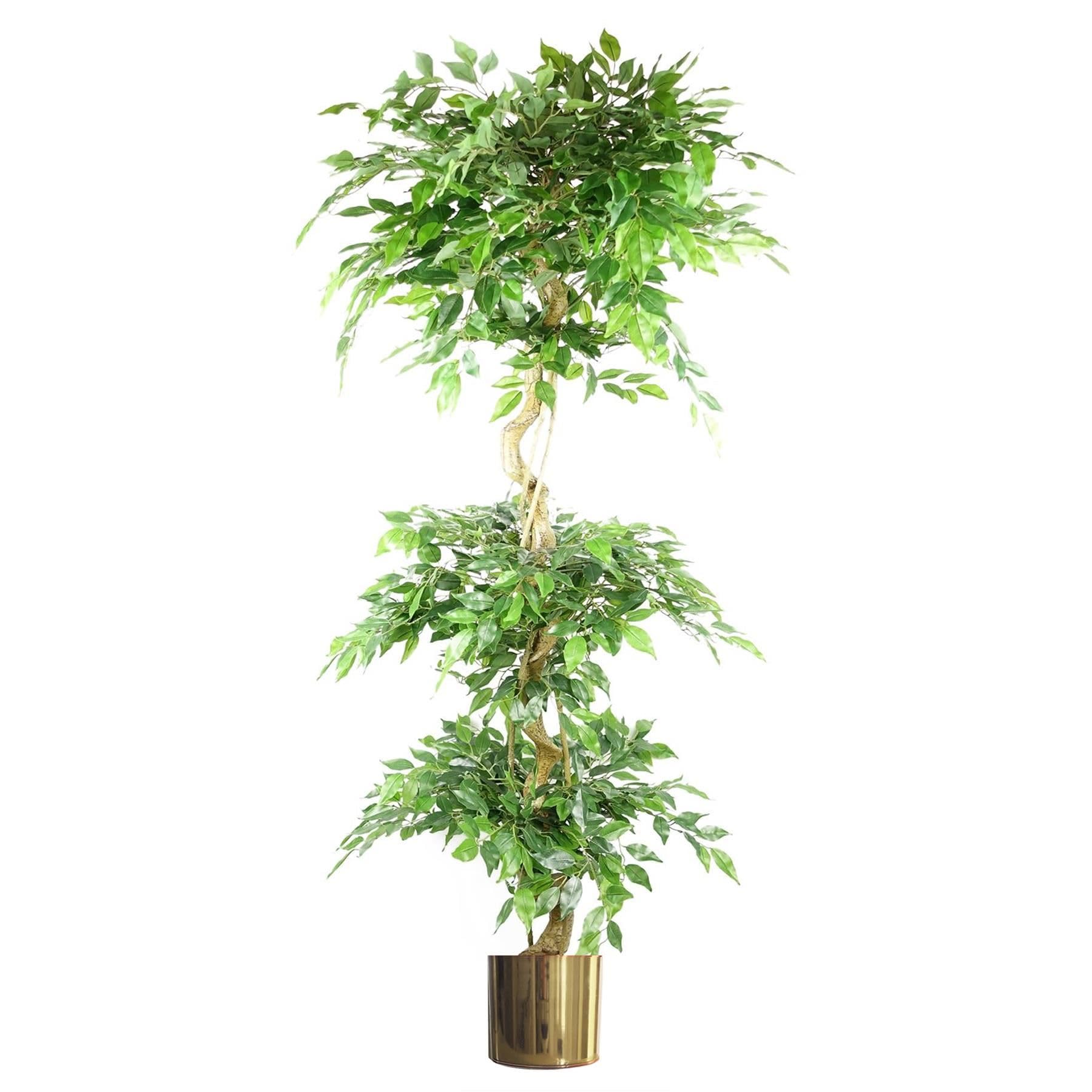 Botanik Realistic Artificial Japanese Fruticosa Ficus Tree With Metal Planters