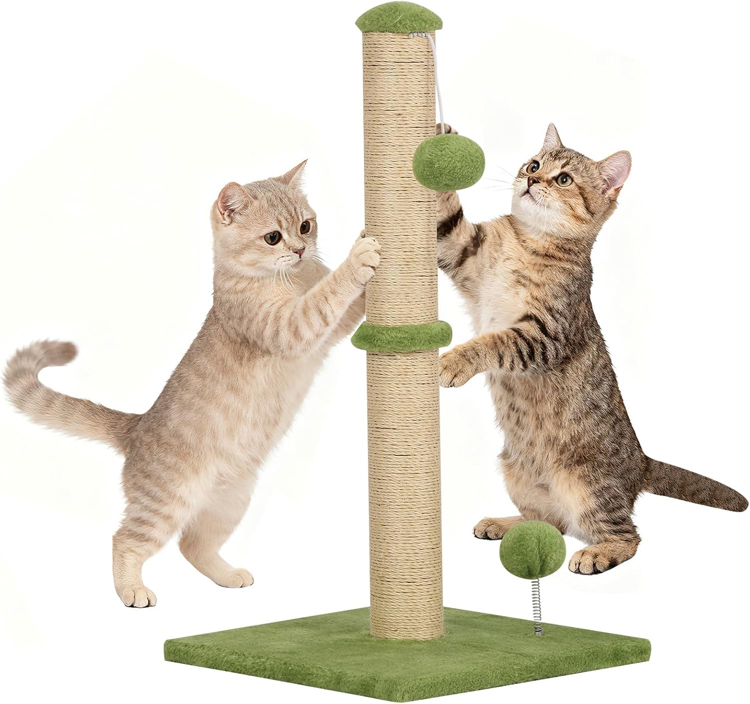 BLKMTY Cat Scratching Post, 22 Inches Cat Scratcher Natural Sisal Rope Scratch Post Trees, with Sturdy Stable Base & Easy Assembly for Indoor Cats Play with Hanging Ball, Green