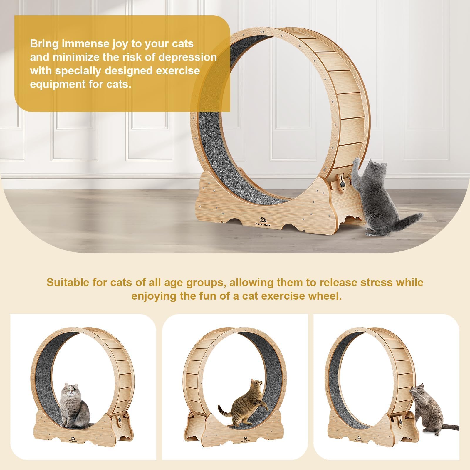 Naviconvex Cat Wheel, 46