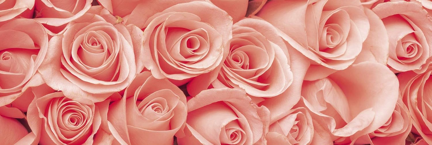 DIMEX LINE Peel and Stick Kitchen Backsplash Sticker Roses, Rosa, 180 x 60 cm - Image 4