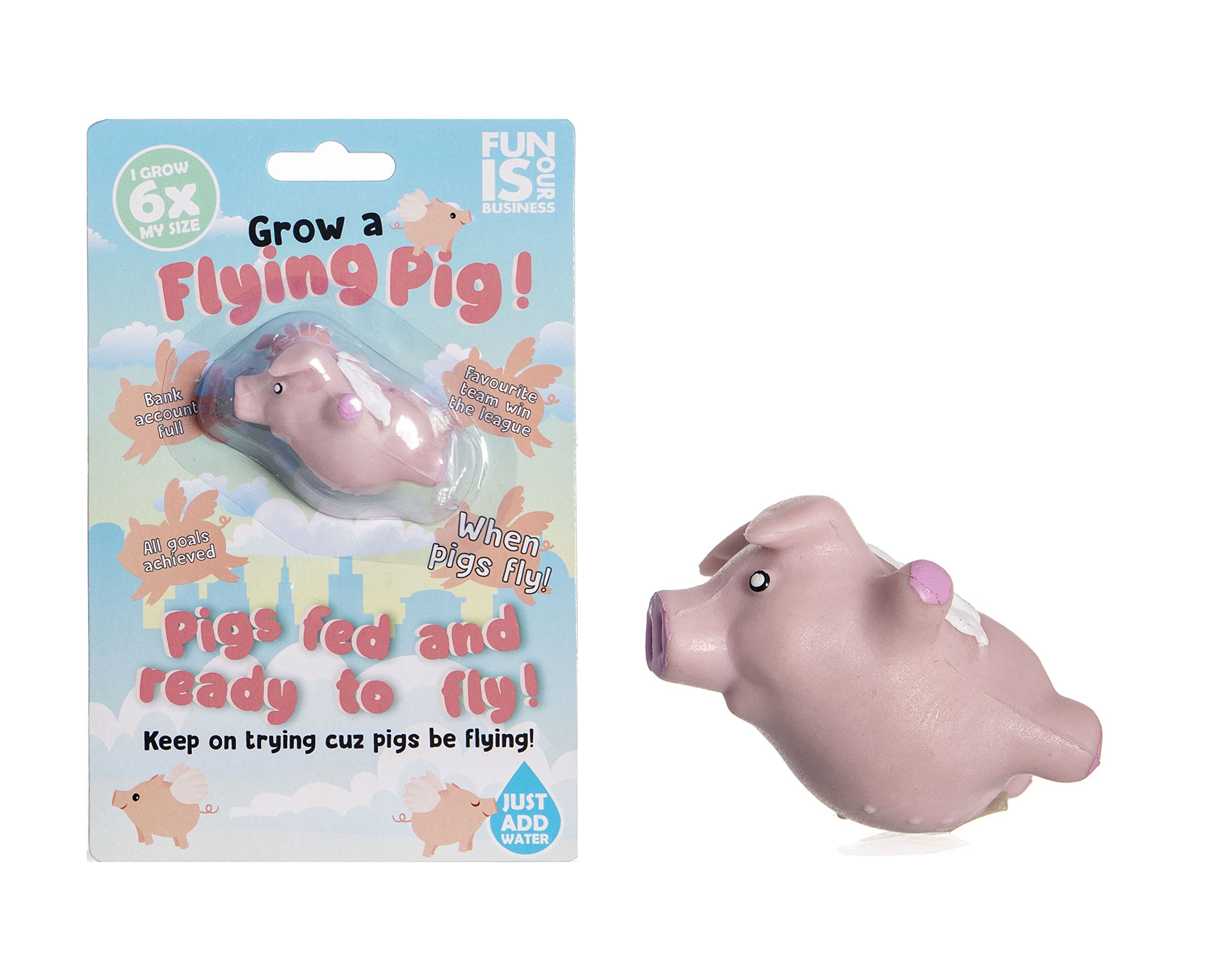 Boxer Gifts Grow Your Own Flying Pig | Just Add Water | Fun Stocking Filler For Kids