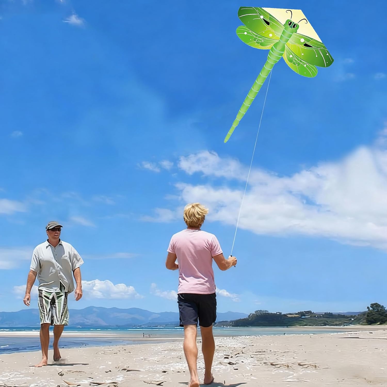 Large Dragonfly Kite, 63x43inch Single Line Colorful Kite with Long Tail Beginner Beach with Winding Handle and 100m Line Outdoor Park Games Activities