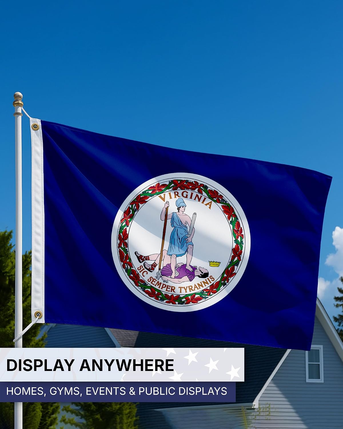 AGAS Virginia State Flag 4x6 Ft - Double-Sided, 3-Layer Fabric, Heavy-Duty 200 Denier Nylon Flag with Brass Grommets - Premium Quality. Correctly Readable on Both Sides -Ideal for Patriotic Outdoor Displays.