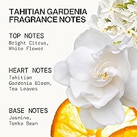 Vista 7 de Pacifica Beauty, Wanderlust - Juego de prueba de perfume en aerosol, vainilla isla, 5 aromas, juego de regalo de muestra de fragancia, aceites