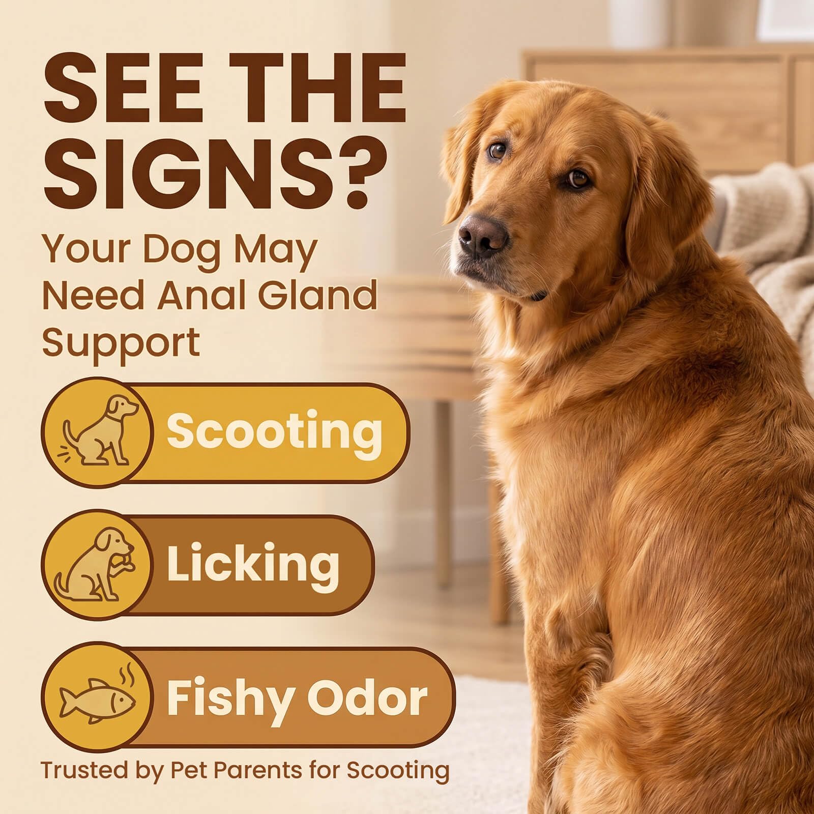 Anal Gland Support Soft Chews for Dogs, 90 Count – Pumpkin Seed Fiber, Psyllium & Dandelion Root with Probiotics (800M CFU) – Supports Firm Stools & Digestive Balance – Chicken & Liver - image 5