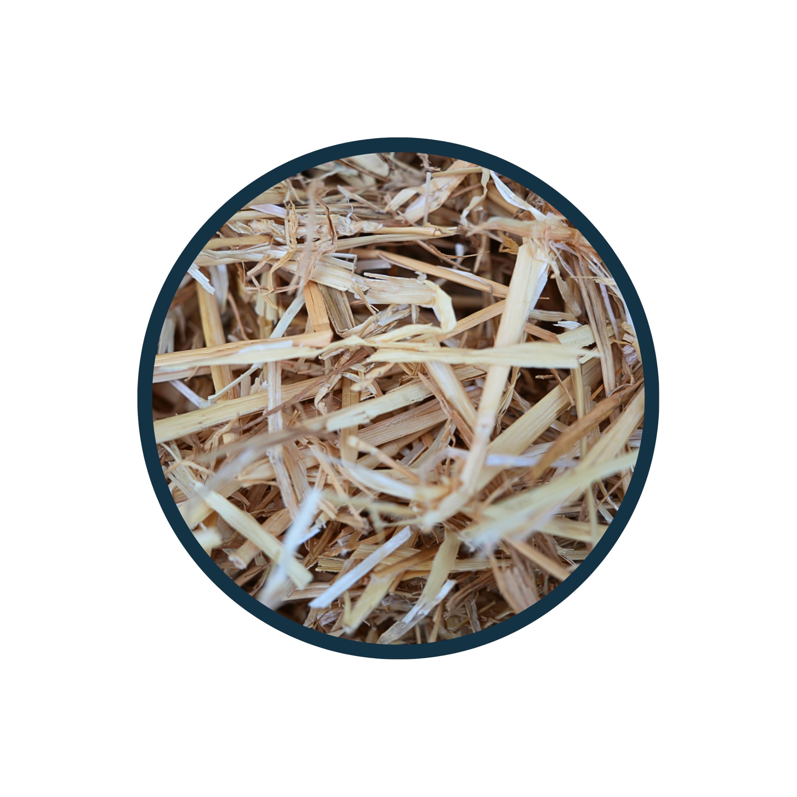 Anibest Paglia naturale, lettiera per piccoli animali, 100% naturale per tutti i roditori e piccoli animali, conigli, criceti, porcellini d'India e Co, assorbente, termoisolante, Made in Germany, 0,8