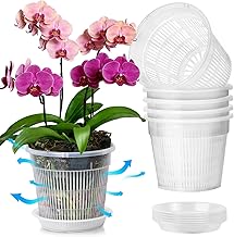 T4U Orchid Pot, 6 Pack 16cm Orchid Pots with Holes and Saucers, Clear Orchid Pots for Repotting, Plastic Flower Plant Pot for Indoor Outdoor Plants, Slotted Orchids Planter for Root Health