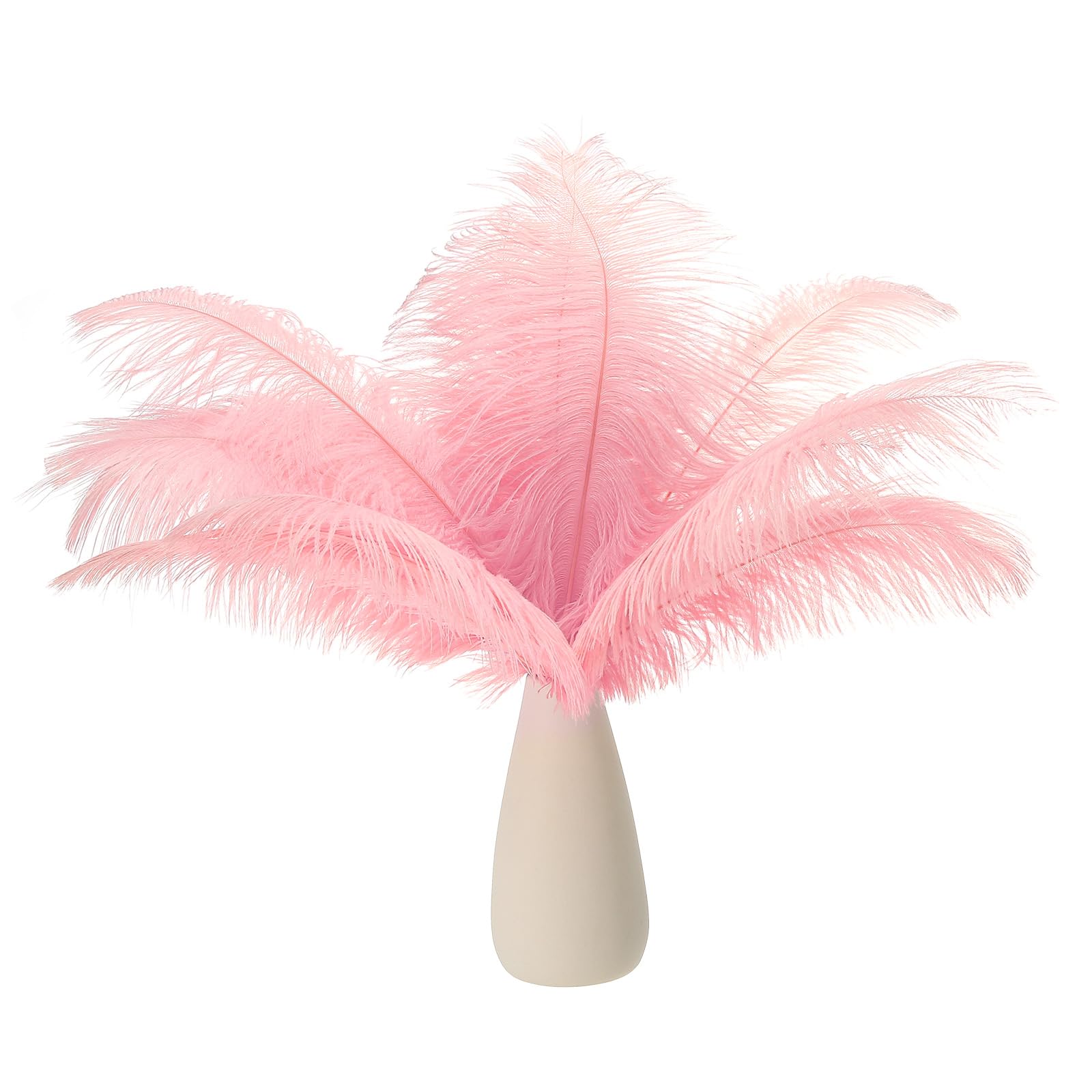 PATIKIL 8-10 Inch(20-25cm) Ostrich Feathers