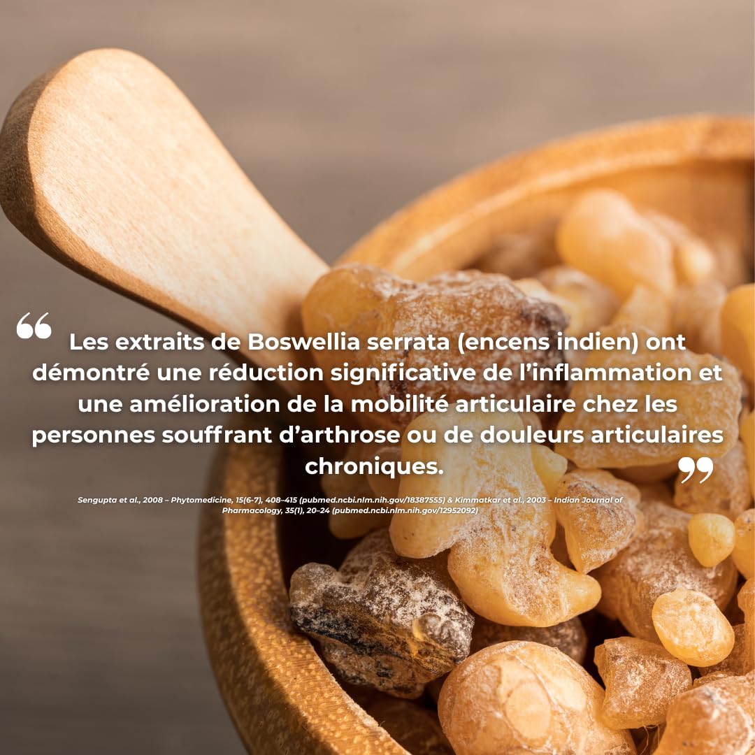 Pack Articulations – Collagène Marin + Boswellia Serrata – 180 Gélules – Mobilité et Confort Naturel