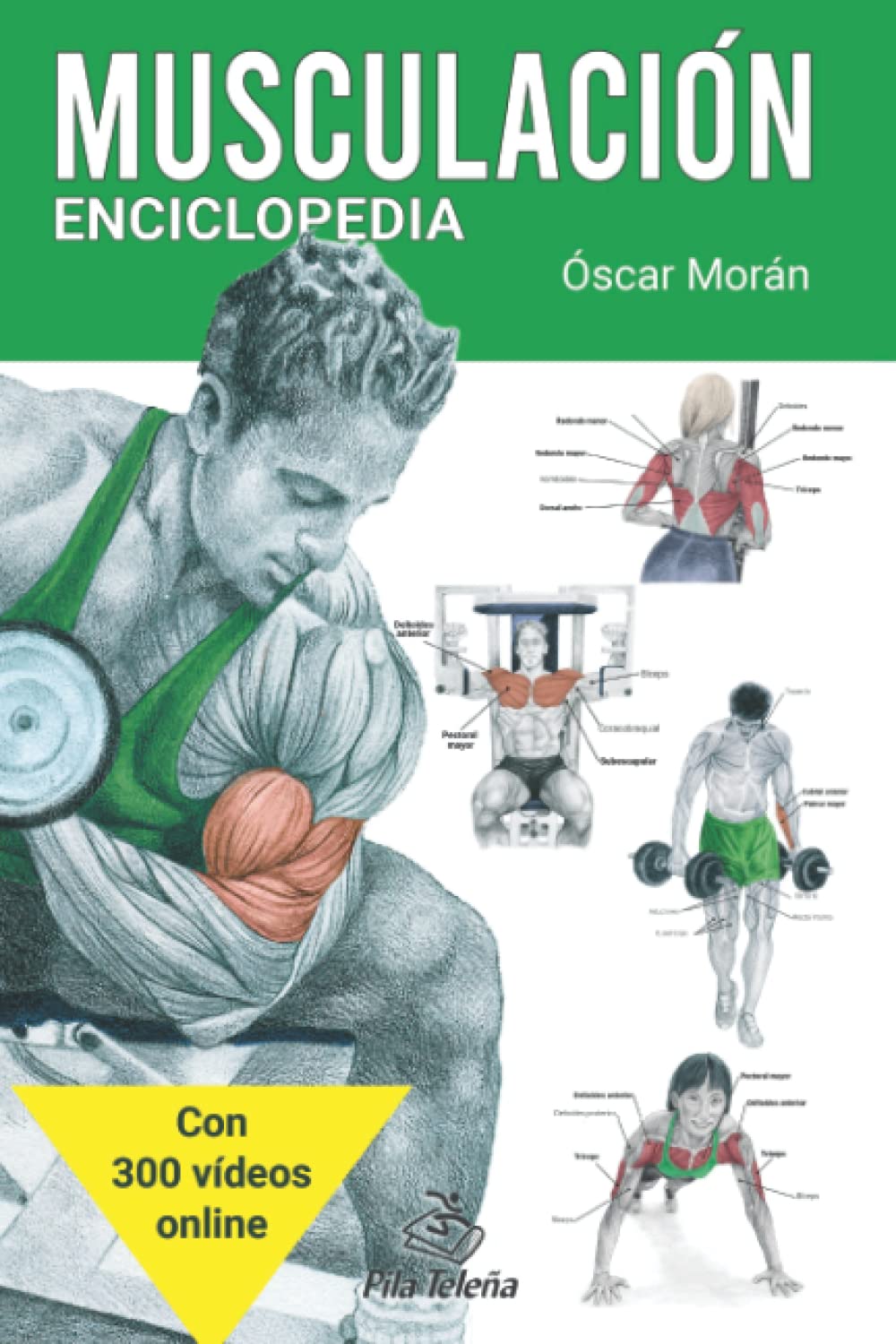 ENCICLOPEDIA DE EJERCICIOS DE MUSCULACIÓN (Spanish Edition)