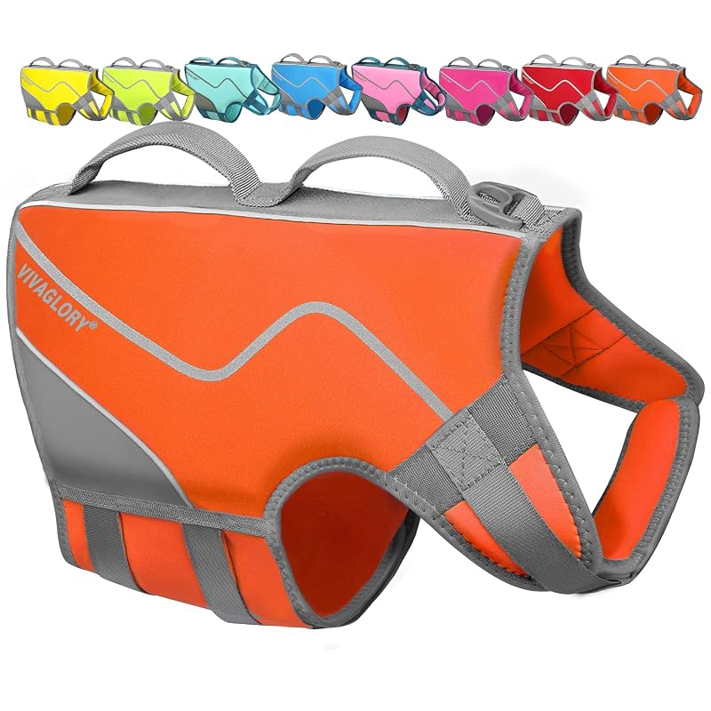 Colete salva-vidas para cães em neoprene VIVAGLORY Rising Orange, tamanho L (66,04–73,66 cm)