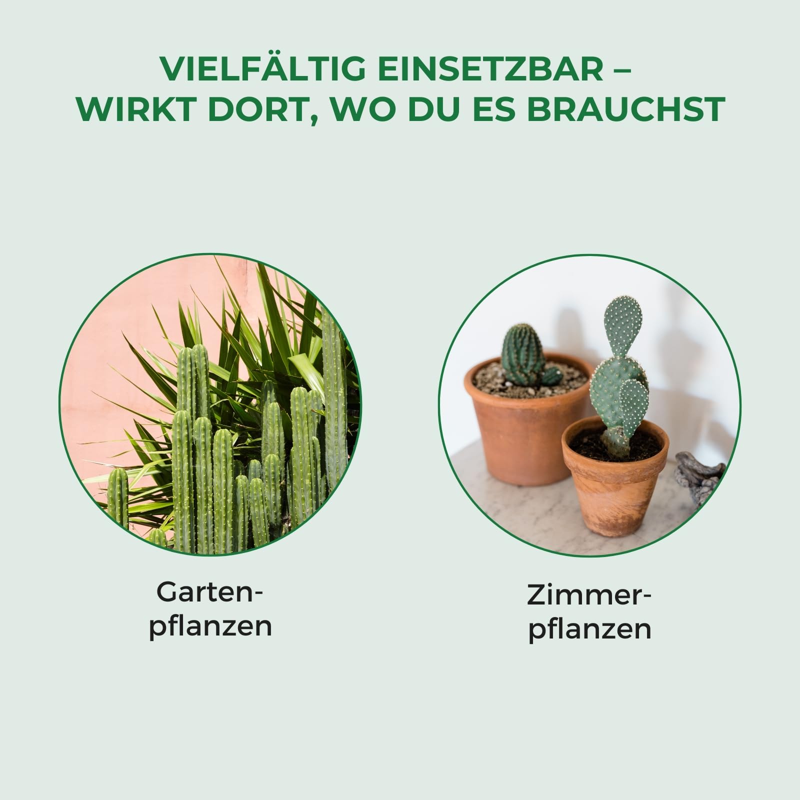 Bioflor Kaktus-Erde Premium 5 L I Kakteen-Erde fr gesundes Wachstum I  nhrstoffreiche Pflanzenerde Zimmerpflanzen & Garten I Kakteen &  Sukkulenten-Erde I Blumen-Erde fr Kaktus-Pflanzen : Amazon.de: Garten