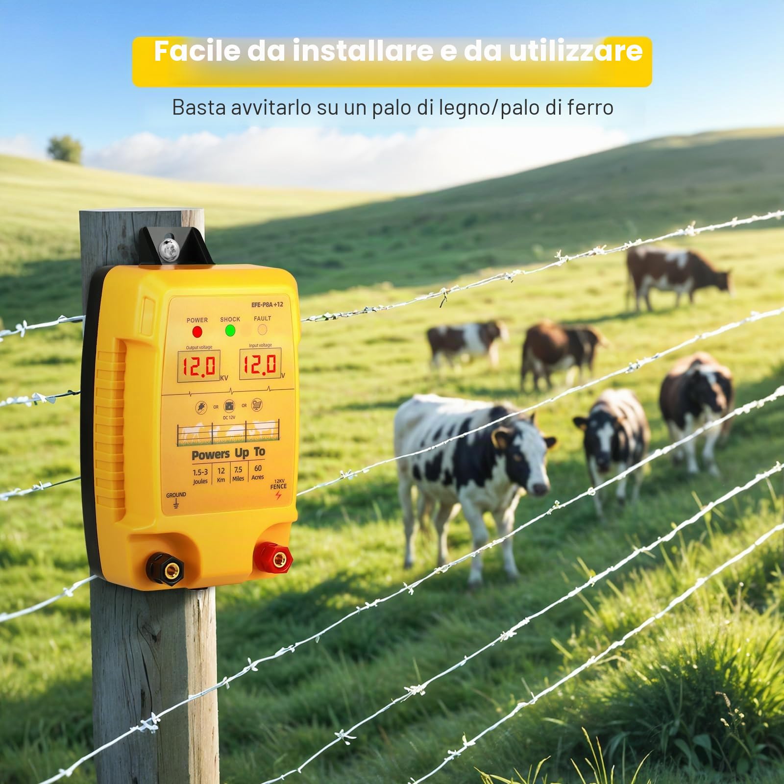 Recinzione elettrica da 12 V con display a LED, 2J 10 kV, recinzione elettrica impermeabile per 12 KM, display a LED, recinzione elettrica per bovini, pecore, pollame, bestiame, centralina per la