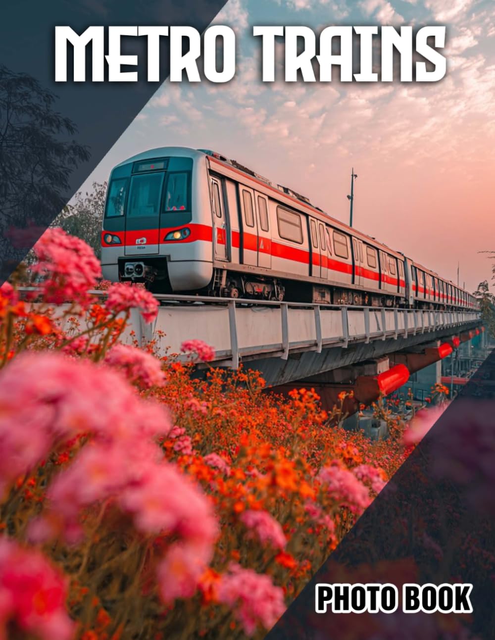 Metro Trains Photo Book: Urban Transportation Photography Collection Featuring Metro Trains | Perfect Gift For Travelers And Railway Enthusiasts