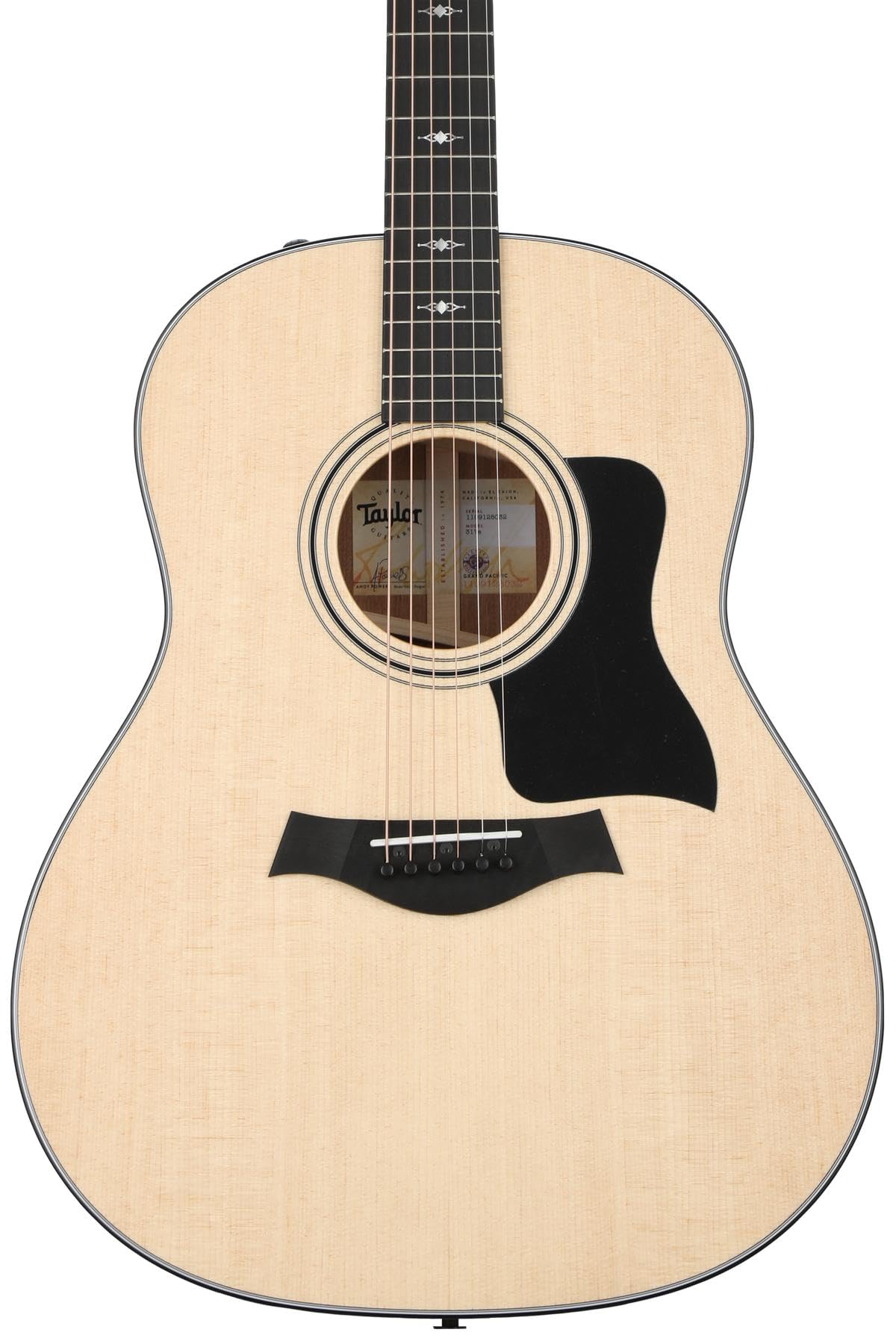 Amazon | Taylor 317e グランドパシフィック Vクラスブレーシング付き