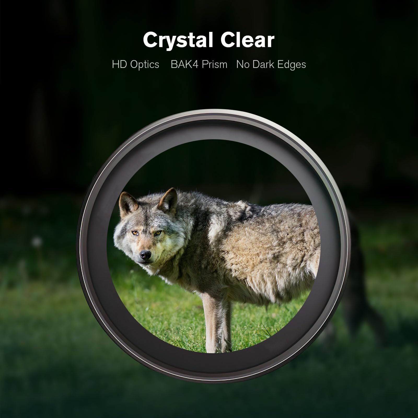 Flintronic 8x21 Kompakt Mini-Fernglas, HD Ferngläser, Leichtes Faltteleskop für Erwachsene, für die Jagd, Besichtigung, Vogelbeobachtung, Wandern, Anschauen von Fußballspielen