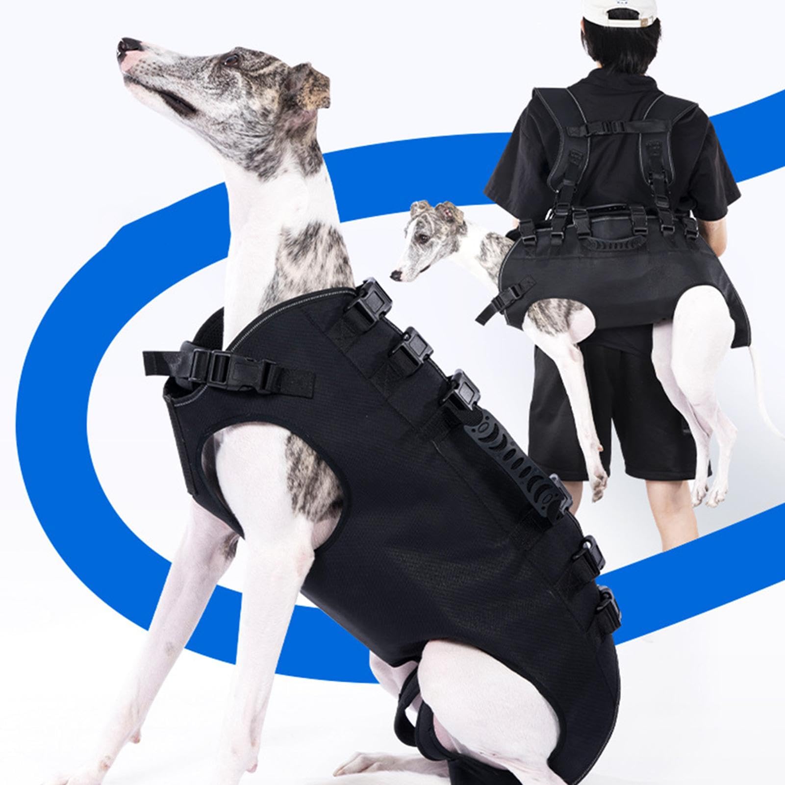 Arnés de elevación para Perros | Correas de arnés para Perros | Transpirables | Arnés para Perros | con Acolchado, Malla Transpirable y diseño ergonómico para Mayor Comodidad y fácil manejo