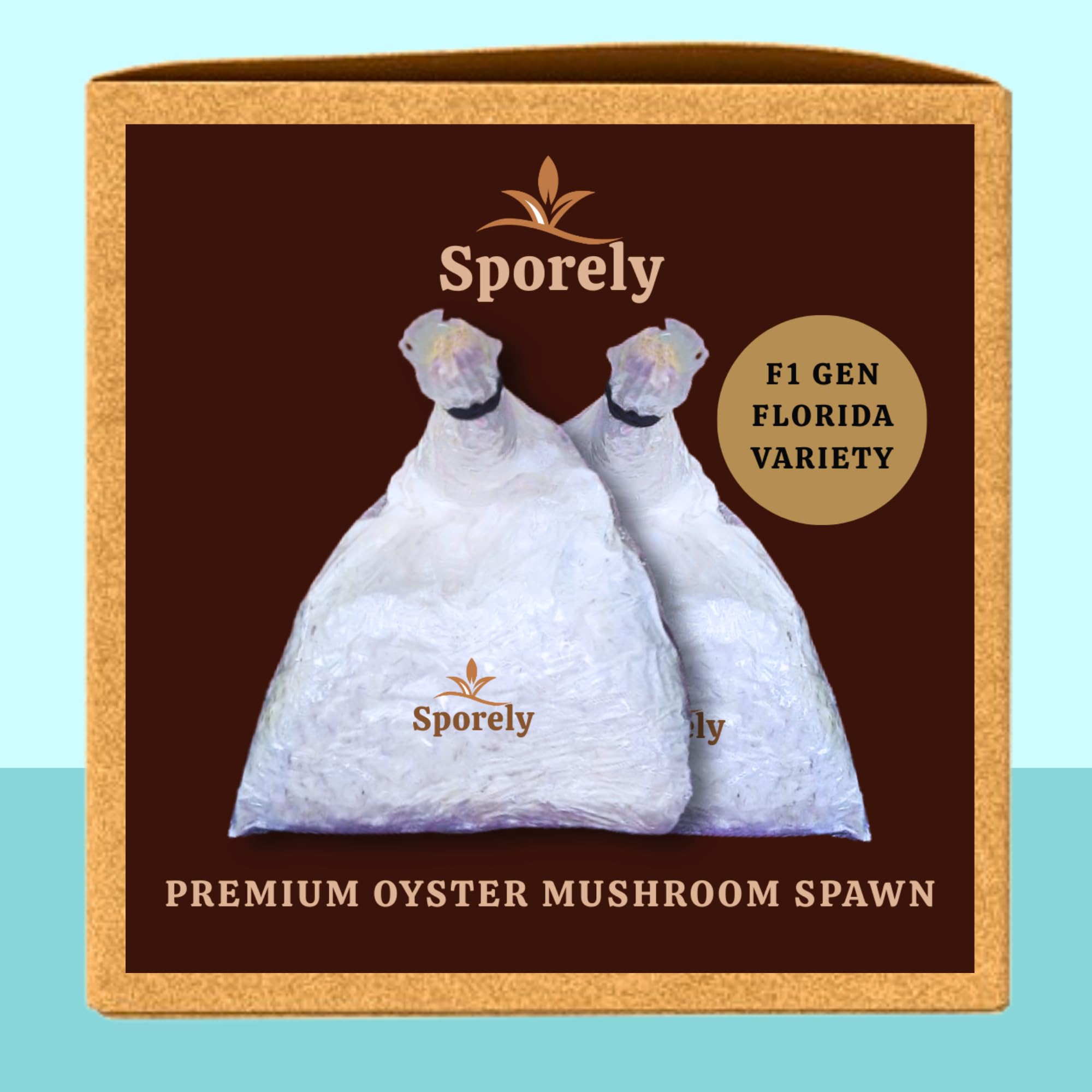 White Florida Variety Oyster Mushroom Spawn Seed Growing Kit (400gm + 2 PP Bags + Instruction) F1 First Generation Edible nHigh Yield Big-Size Big Petal Oyster Mushroom Spawn/Seed for Mushroom Farming-image-21