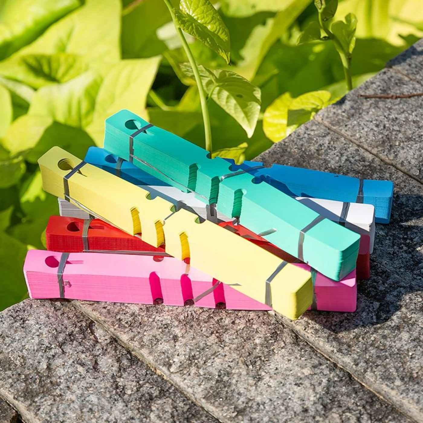 Etykiety ogrodowe, etykiety do roślin, plastikowe pętelki, etykiety do roślin, etykiety ogrodowe, wielokrotnego użytku na zewnątrz, do ogrodu, 6 kolorów (300 szt.).