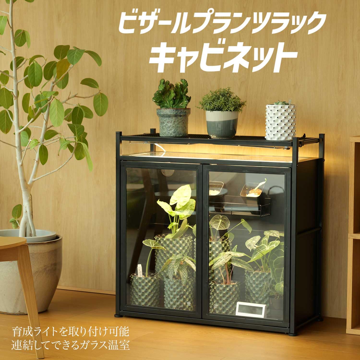 Amazon.co.jp: BIBILAB(ビビラボ) ビザールプランツラック