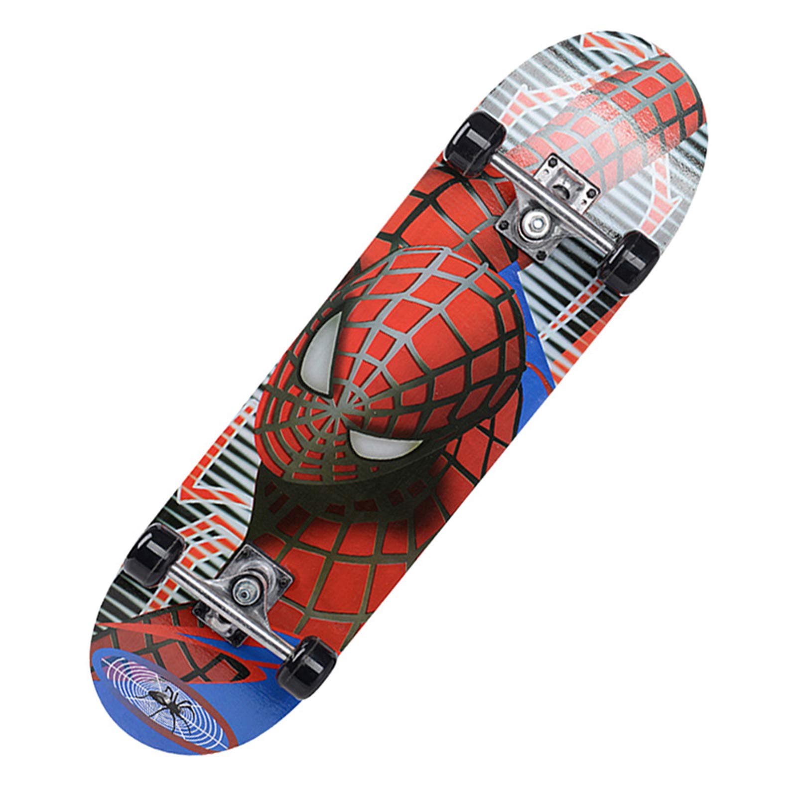 Skateboard Standard Érable 7 Plis Haute Résistance avec Plateau Concave Graphisme Spider