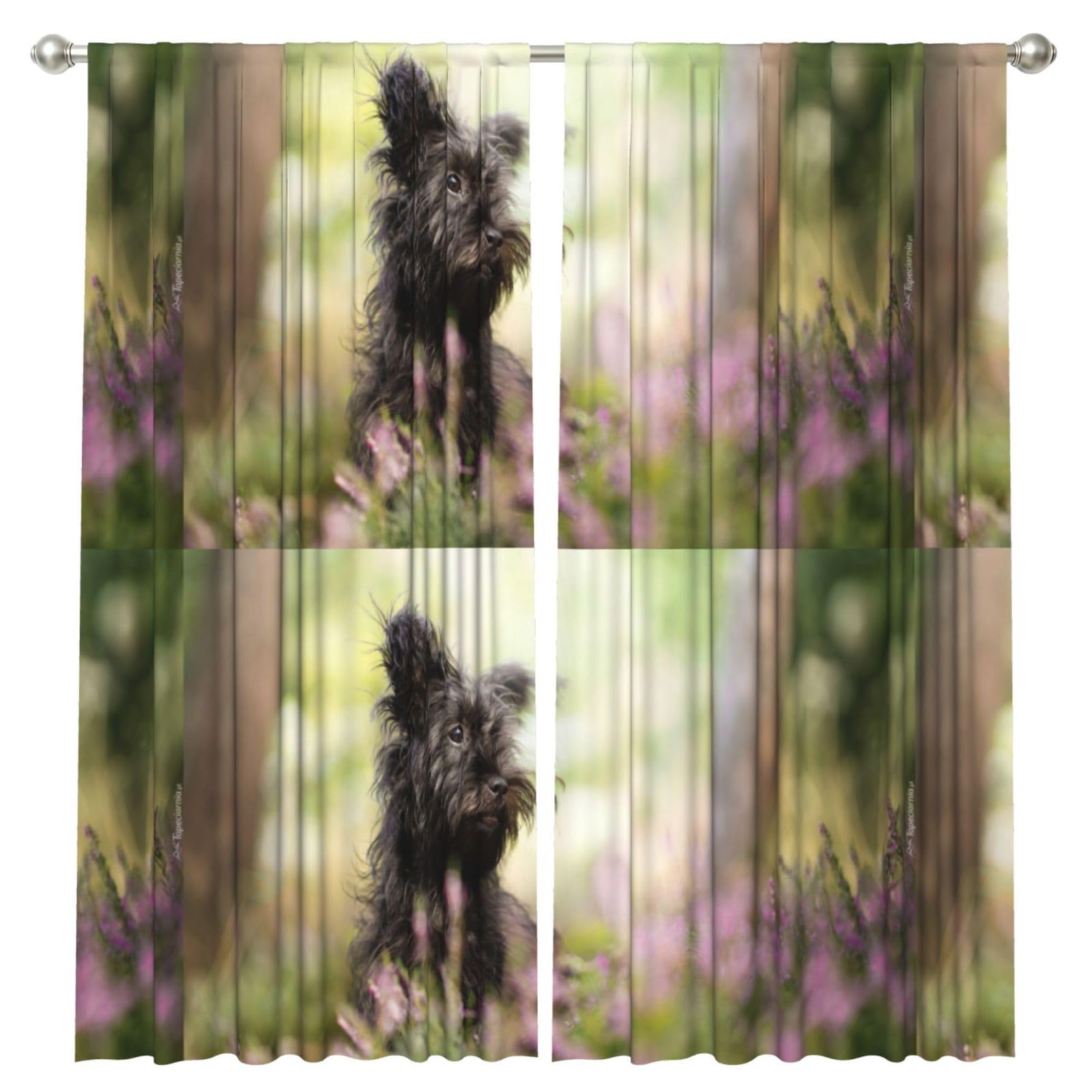 InOmak Affenpinscher Lawn Black Dogs Monkey Terrier, 2 Panels Window Curtains 52 x 84 Inch Blackout Curtains for Living Room Bedroom