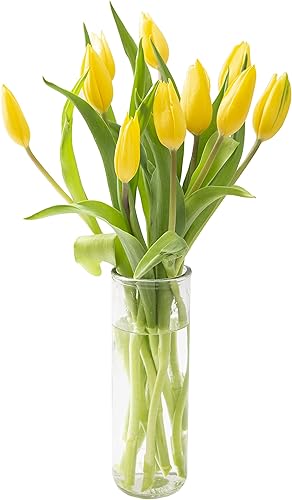 KaBloom - Bouquet of Fresh 10 Yellow Tulips with Vase - Anniversary Gifts For Wife