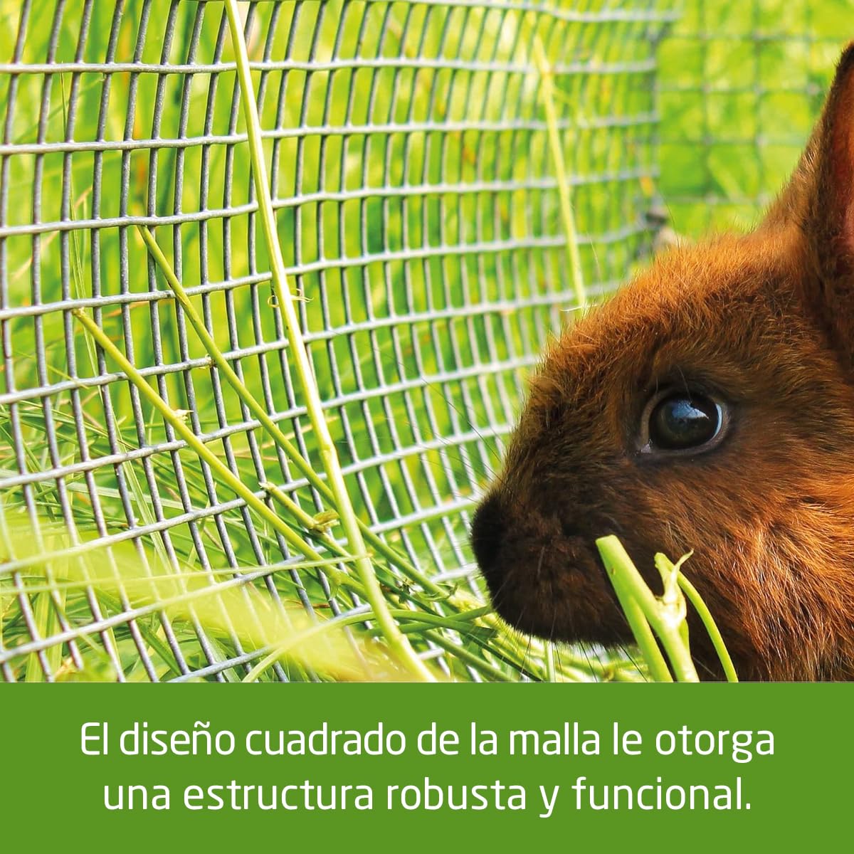 Amig - Malla Metálica Galvanizada Cuadrada - Fabricado en Acero Galvanizado - Medidas: 1 m x 5 m - Ideal para Aplicaciones Avícolas, Agrícolas, Jardinería y Construcción