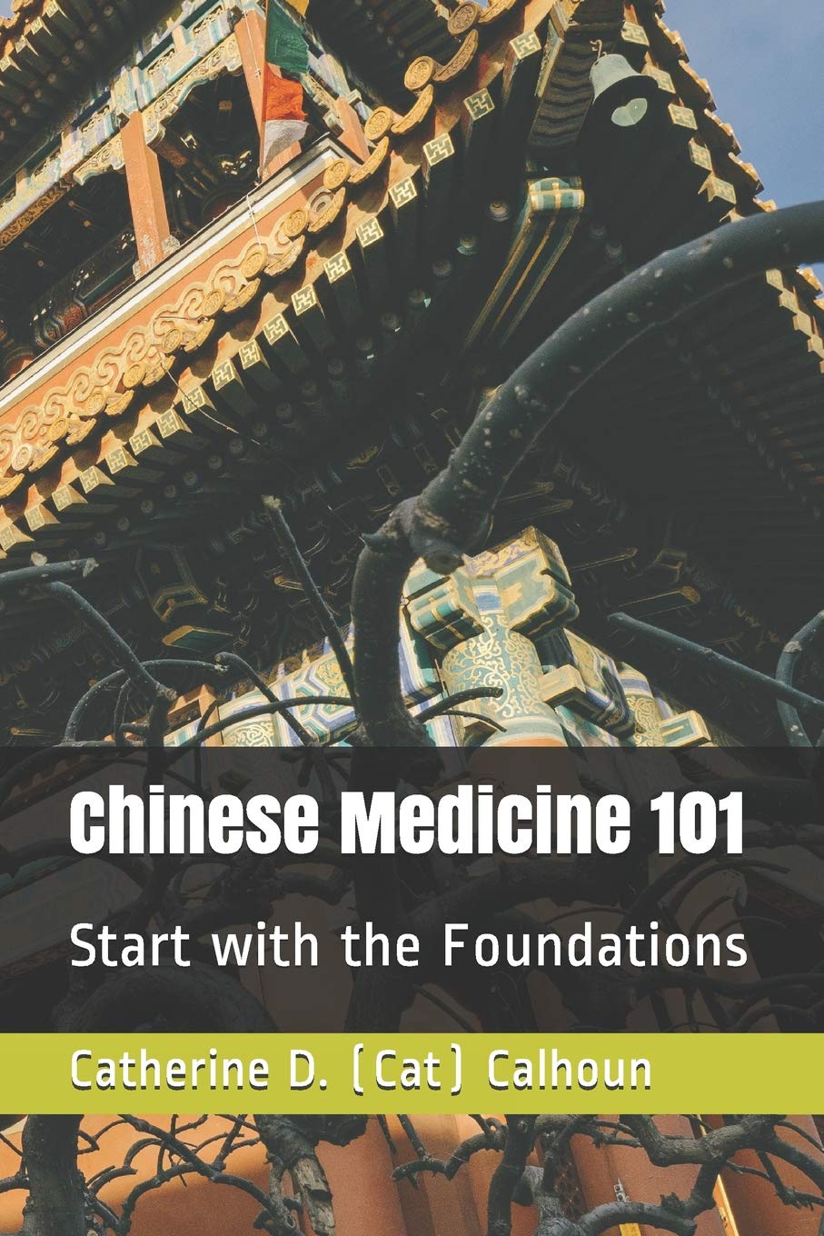 Chinese Medicine 101: Start with the Foundations: 1 (Chinese Medicine Basics)