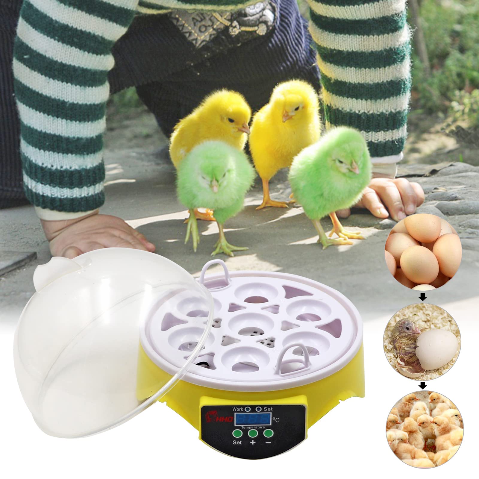 Ei Incubator, Mini 4-6 Eieren Incubator Volautomatische Digitale Draaiende Pluimvee Kip Gans Eend Hatcher Egg Incubator Hatcher Machine