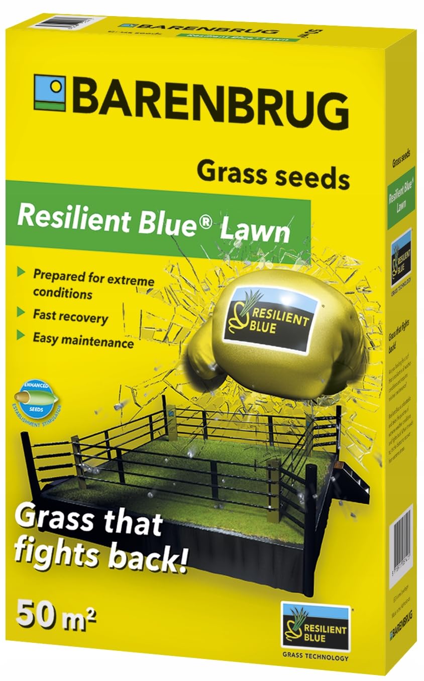 Erba resistente Barenbrug Resilient Blue Prato, 1 kg Semi di erba universali