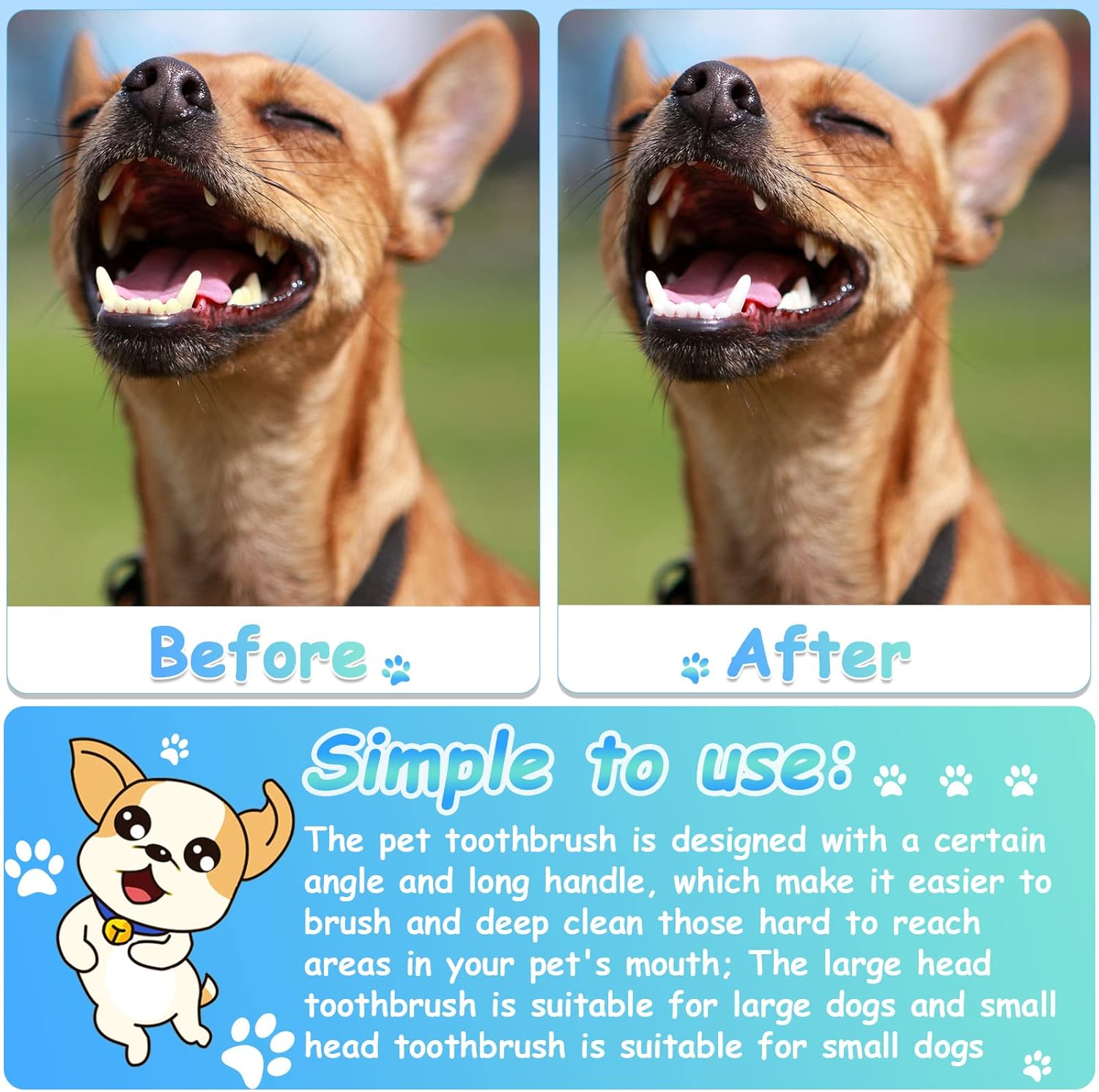 Honeydak Dog Toothbrush Bulk Dual Headed Dental Brushes Dogs Tooth Brushing Kit Long Handle Pet Tooth Brush for Puppy Large Small Cats and Most Pets Teeth Cleaning Dental Supplies(70 Pcs,Green)