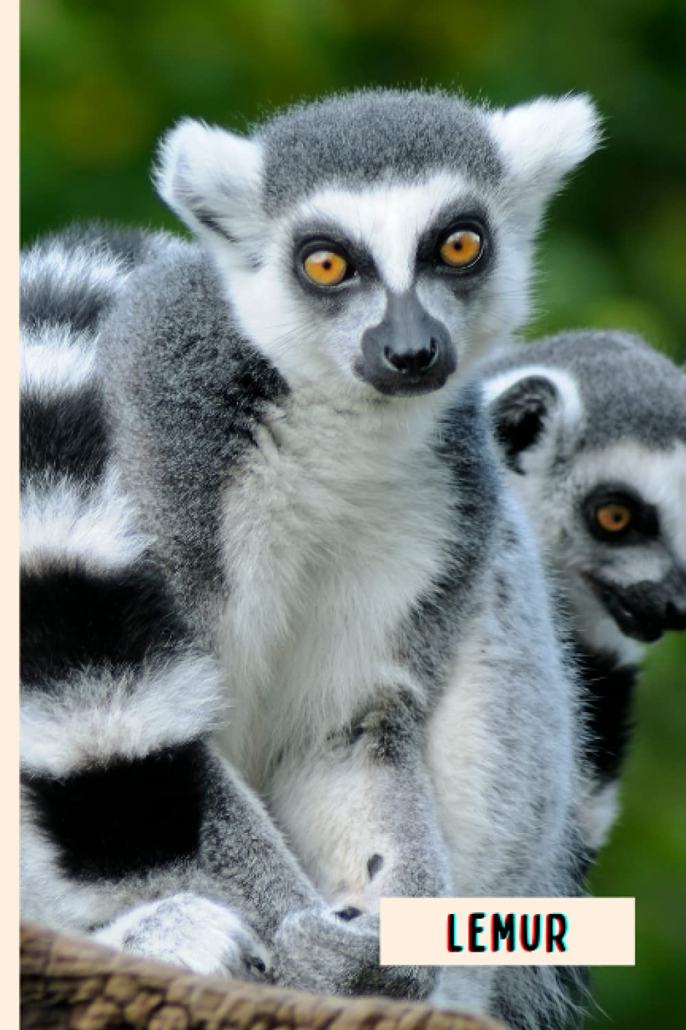 Lemur: Perfect Lemur Journal for Memories And Notes , Lemur Notebook ( 110 Pages, 6x9 )