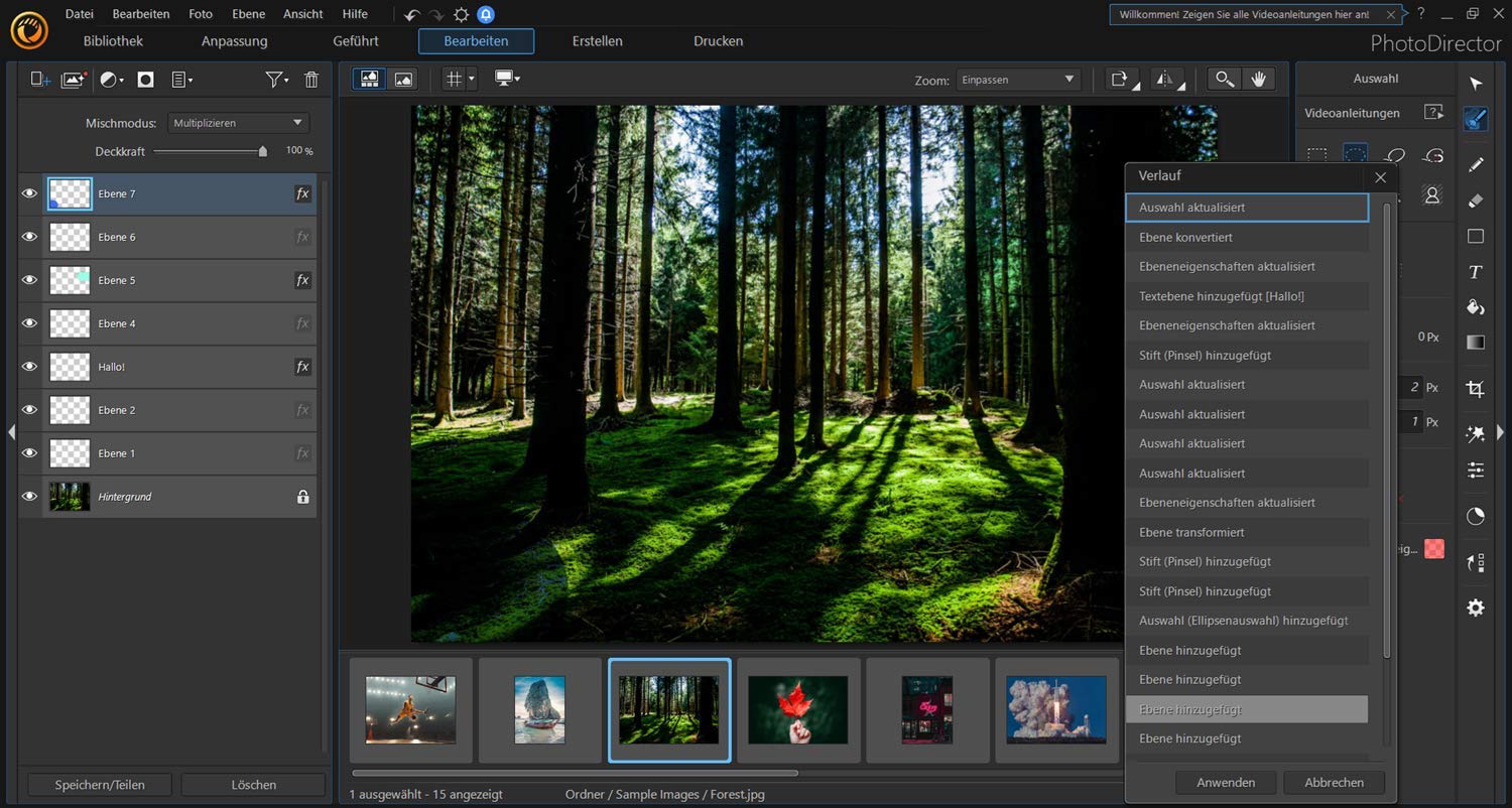 CyberLink PhotoDirector 12 | Ultra / WIN | PC | PC Aktivierungscode per Email