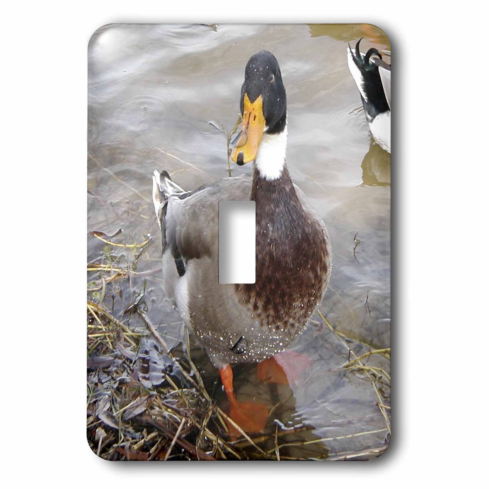 Interrupteur à bascule Mallard Mâle au design animalier et finition haute netteté