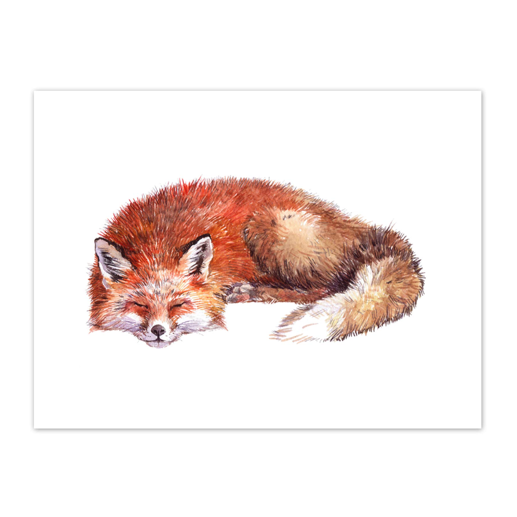 Wee Blue Coo Fox Sleeping Watercolour Art Print Canvas Premium Wall Decor Poster