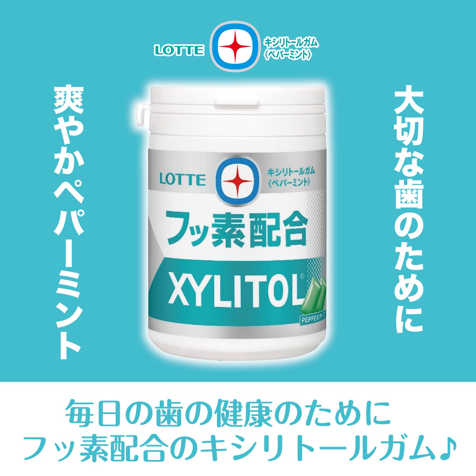 Amazon.co.jp: ロッテ キシリトールガム＋フッ素スリムボトル 125g