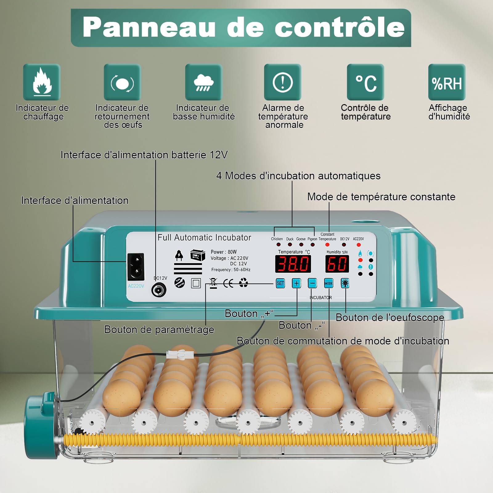 CoInceptus Couveuse oeuf automatique Incubateur 24-36 Oeufs | Retournement auto ajout d’eau auto affichage température/humidité régulation thermique pour œufs poule canard oie caille