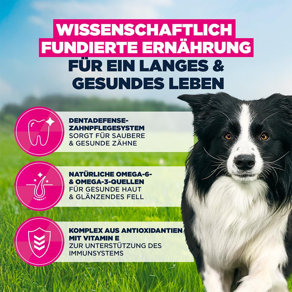 EUKANUBA Hundefutter Large Breed | Trockenfutter Mit Huhn 15kg Für Große Hunde
