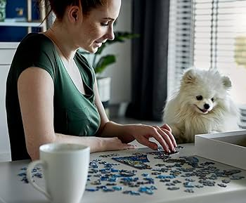 Amazon.com: Hard & Challenging 1000 Piece Puzzle for Adults