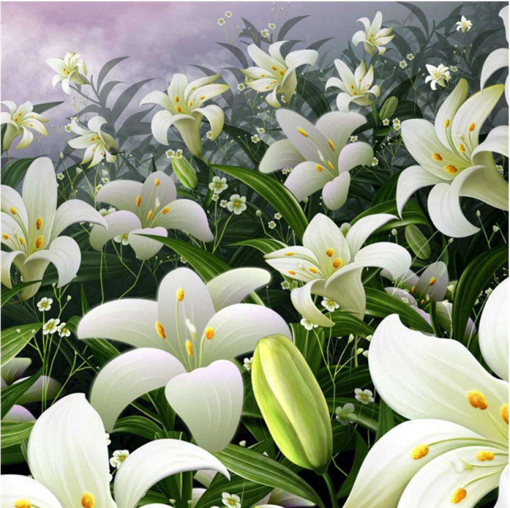 Lily Wallpaper Field Of