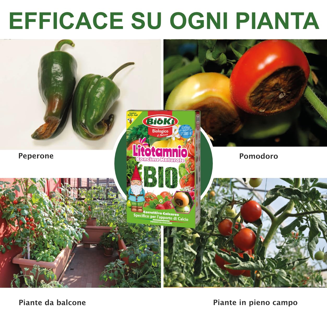 Bioki® Litotamnio Correttivo calcico naturale, indicato per il marciume apicale del pomodoro, elevato apporto di Calcio e Magnesio
